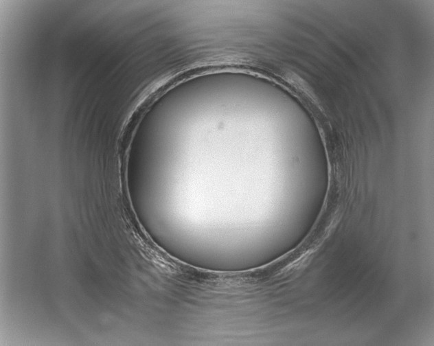 X0000064730781200603031640