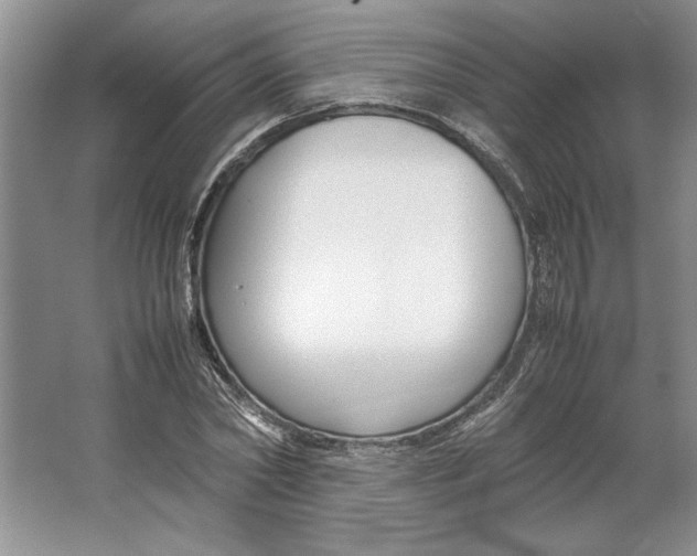 X0000064730782200603031640