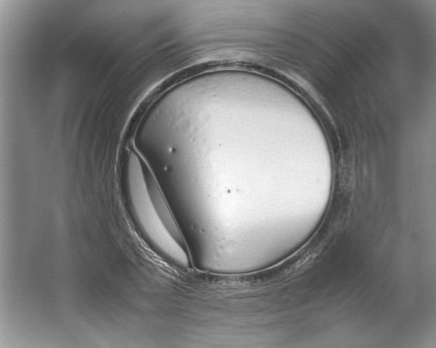 X0000064730783200603031640