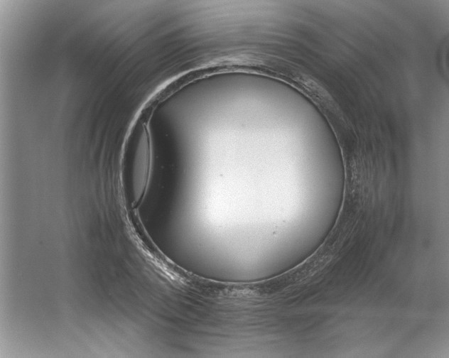 X0000064730784200603031640