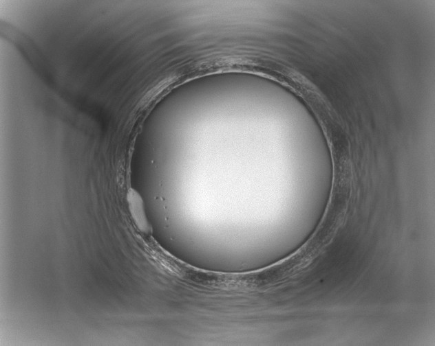 X0000064730785200603031640