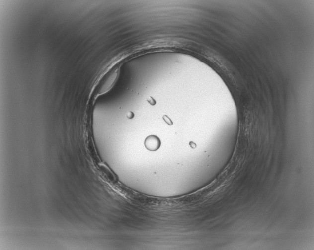 X0000064730786200603031640