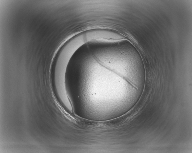 X0000064730787200603031640