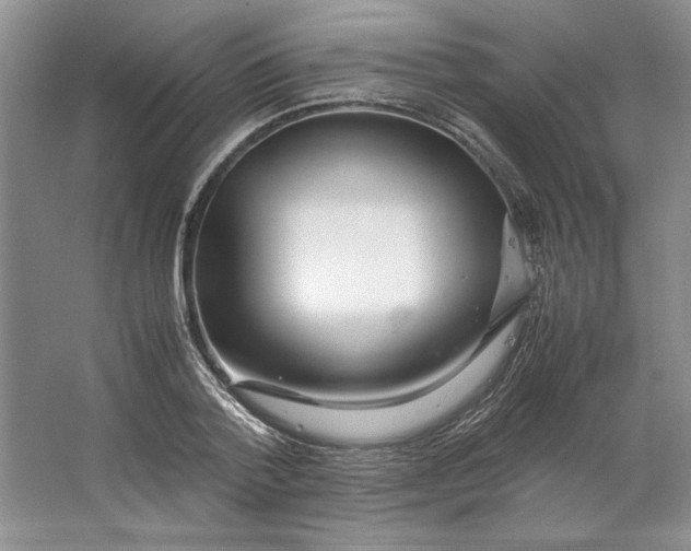 X0000064730788200603031640