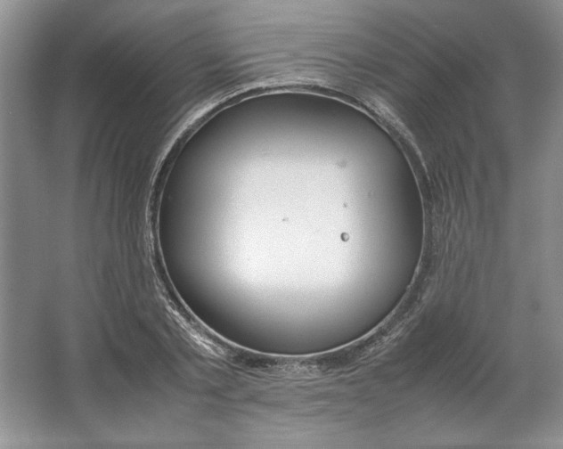 X0000064730789200603031640