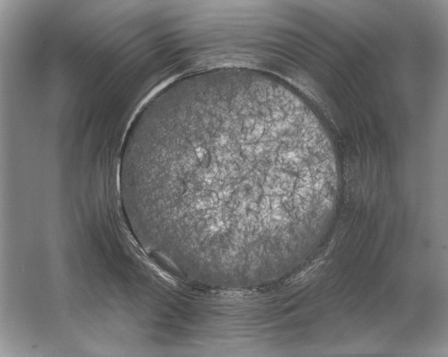 X0000064730790200603031640