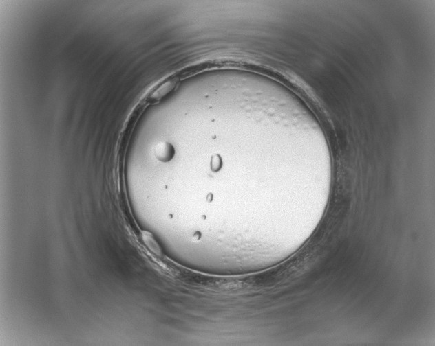 X0000064730791200603031640