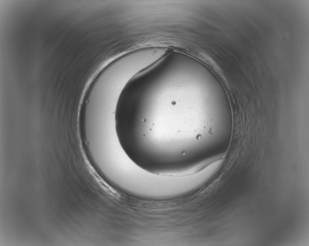 X0000064730795200603031640