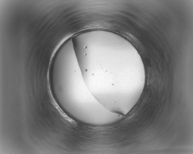 X0000064730796200603031640