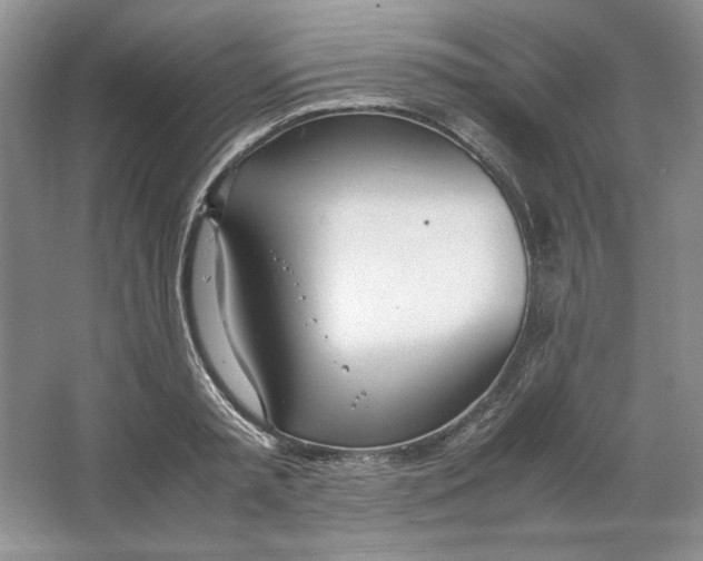 X0000064730797200603031640