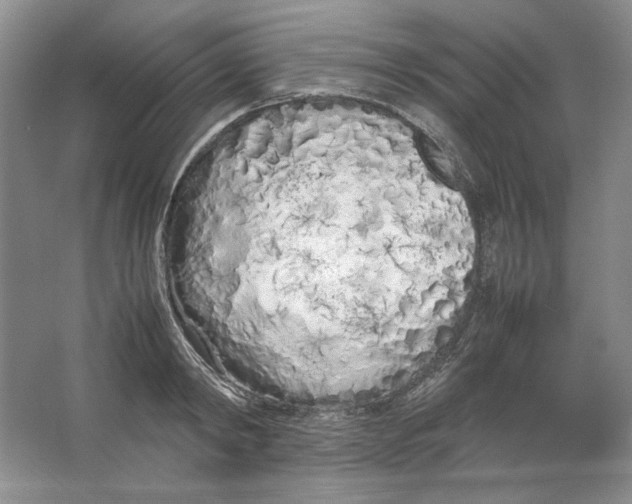 X0000064730798200603031640