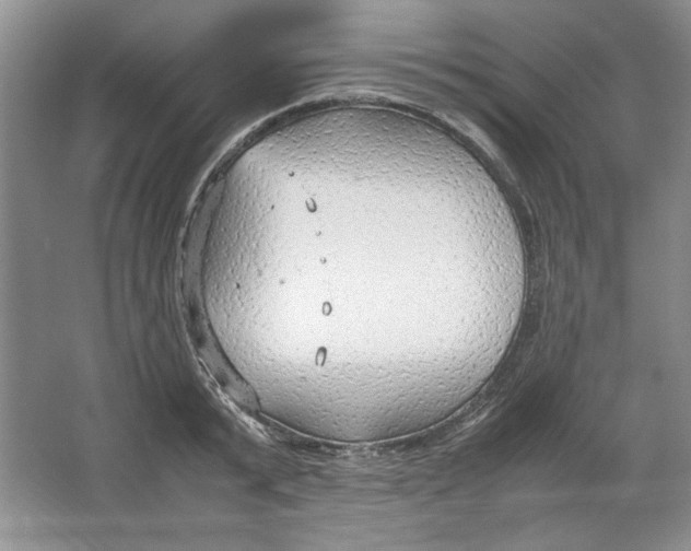 X0000064730799200603031640