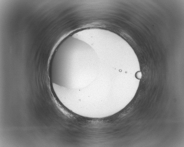 X0000064730800200603031640