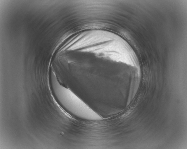 X0000064730802200603031640