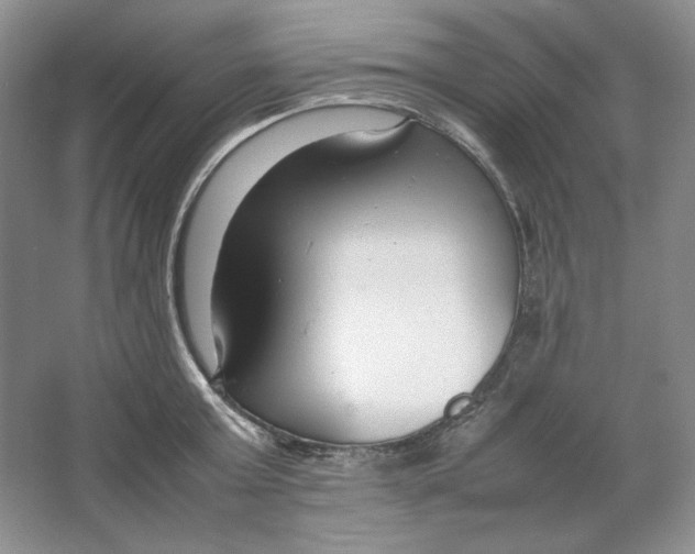 X0000064730803200603031640