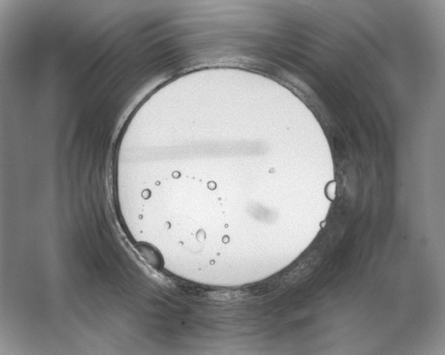 X0000064730804200603031640