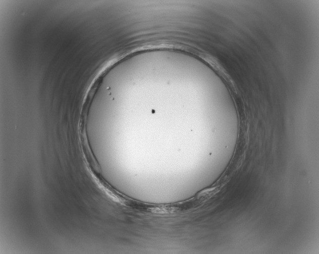 X0000064730805200603031640