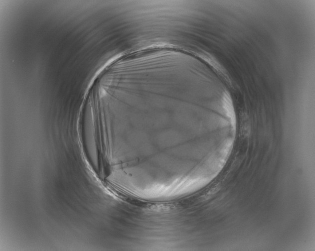 X0000064730806200603031640