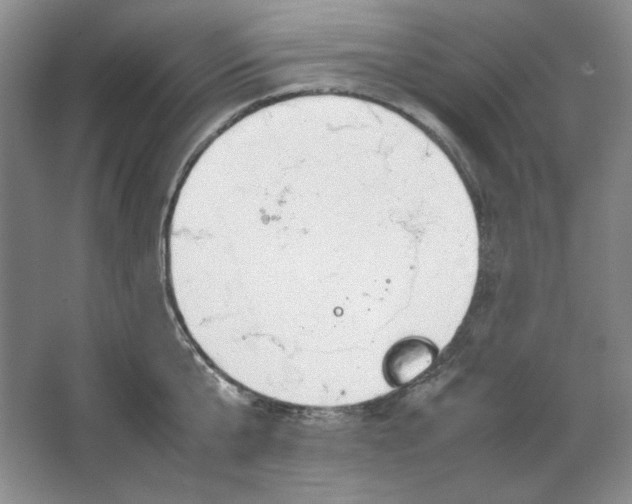 X0000064730807200603031640