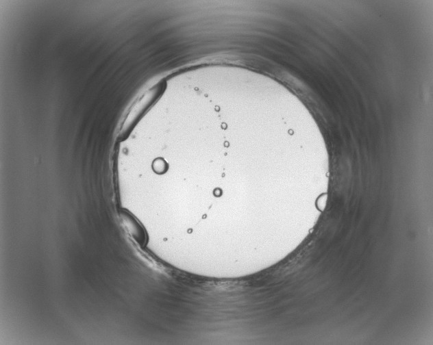 X0000064730808200603031640