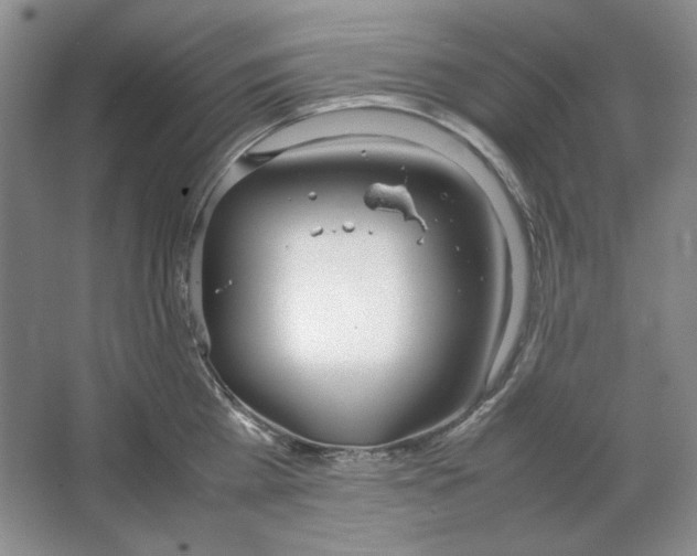 X0000064730809200603031640