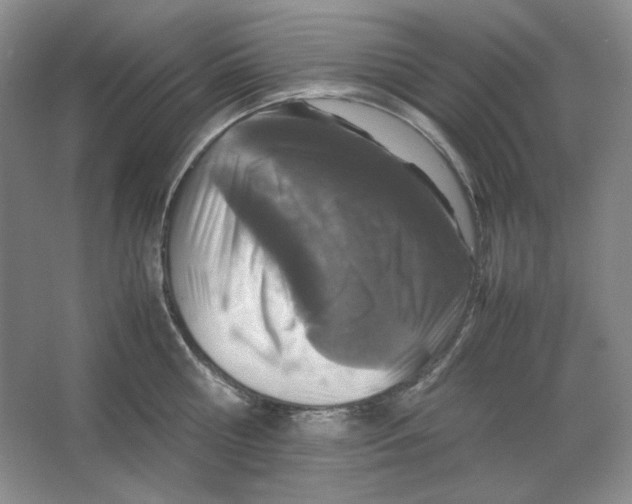 X0000064730810200603031640