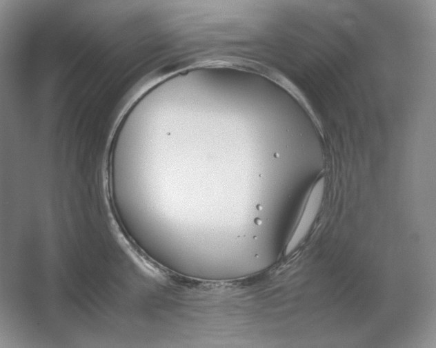 X0000064730811200603031640