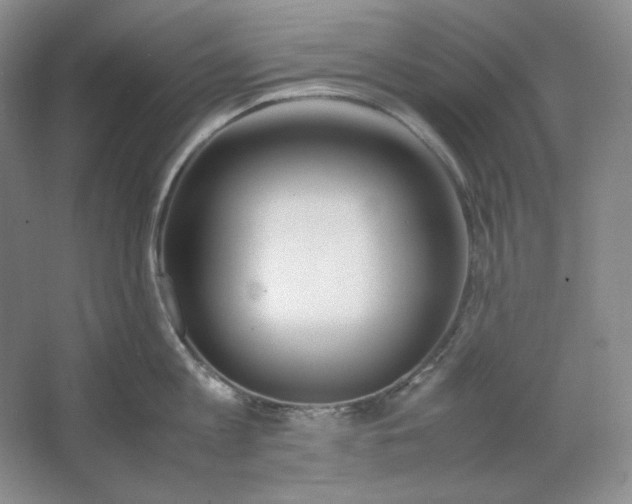 X0000064730813200603031640