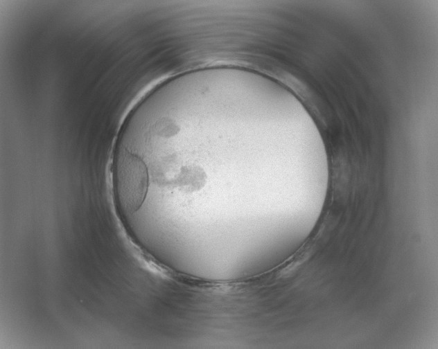 X0000064730814200603031640