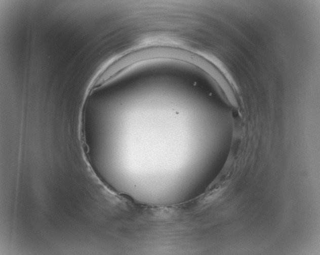 X0000064730815200603031640