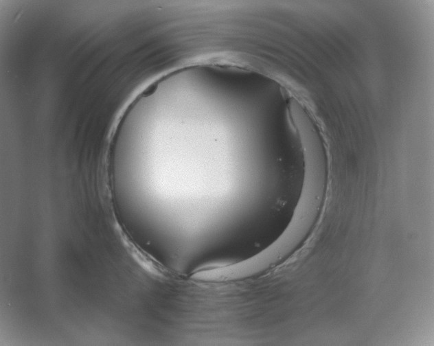 X0000064730816200603031640