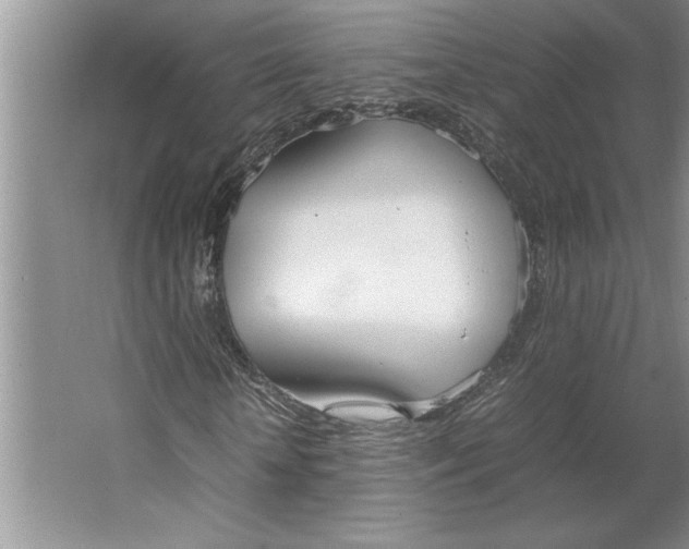 X0000064730818200603031639