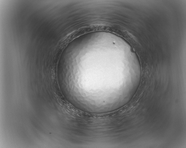 X0000064730821200603031639