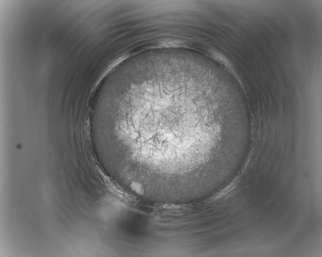 X0000064730827200603031639