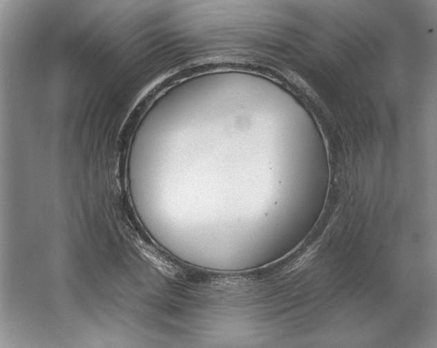 X0000064730830200603031639