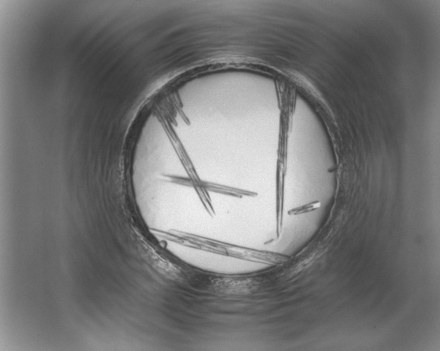 X0000064730831200603031639