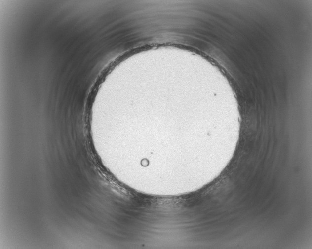 X0000064730832200603031639