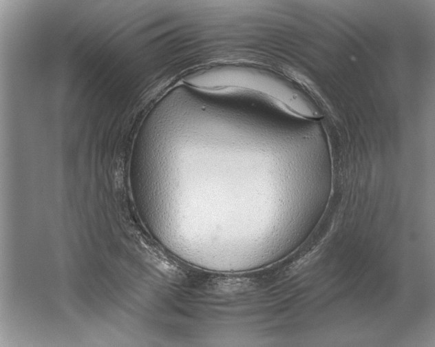 X0000064730833200603031639