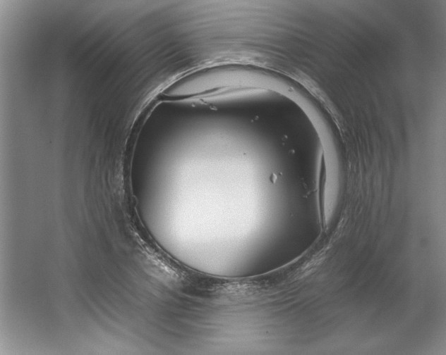 X0000064730834200603031639