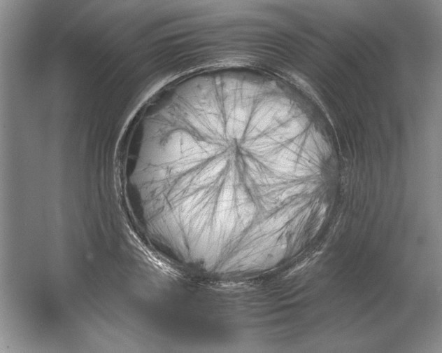 X0000064730835200603031639