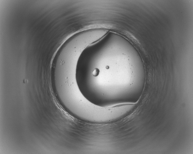 X0000064730836200603031639