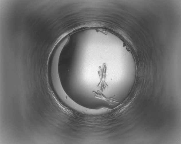 X0000064730837200603031639