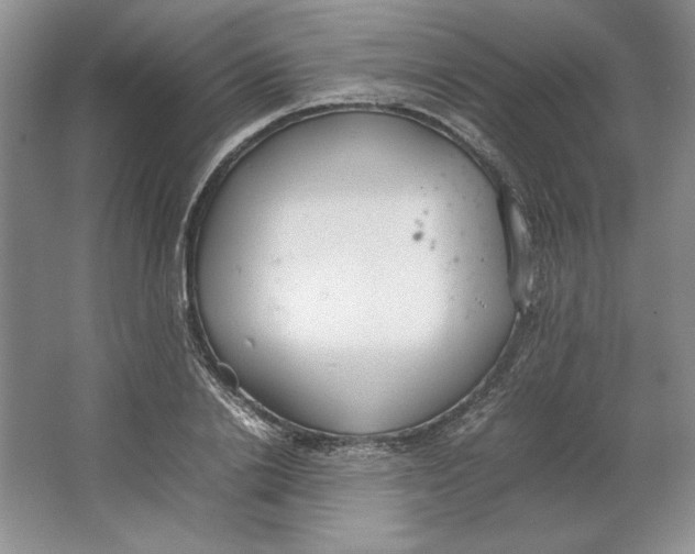 X0000064730838200603031639