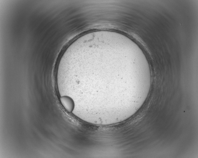 X0000064730840200603031639