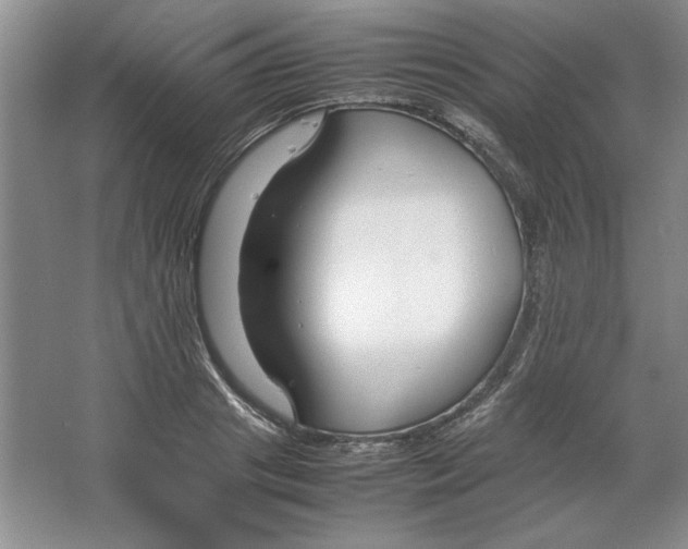 X0000064730841200603031639