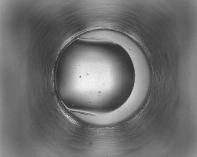 X0000064730842200603031639