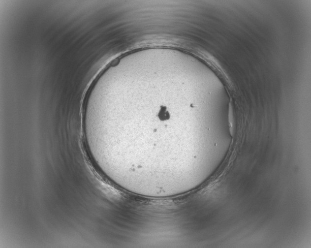 X0000064730844200603031639