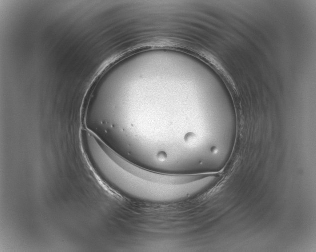 X0000064730845200603031639