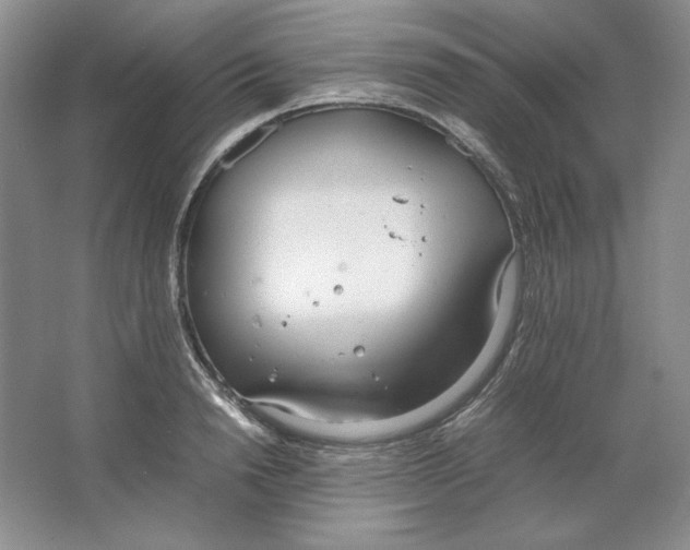 X0000064730846200603031639