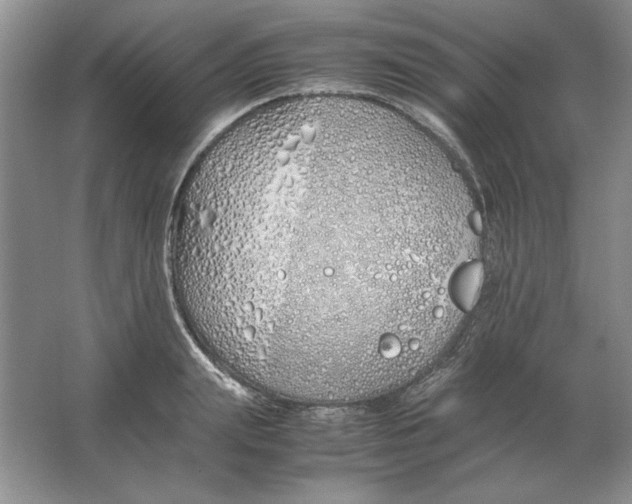 X0000064730847200603031639